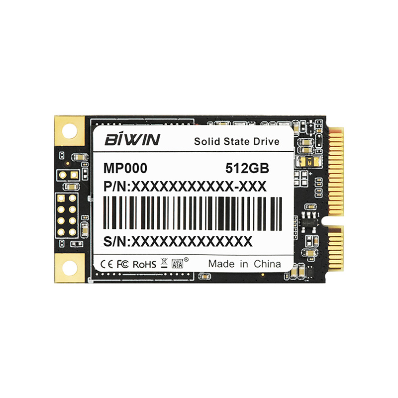 BIWIN MP000-512GB